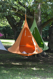Single Cacoon - Mango