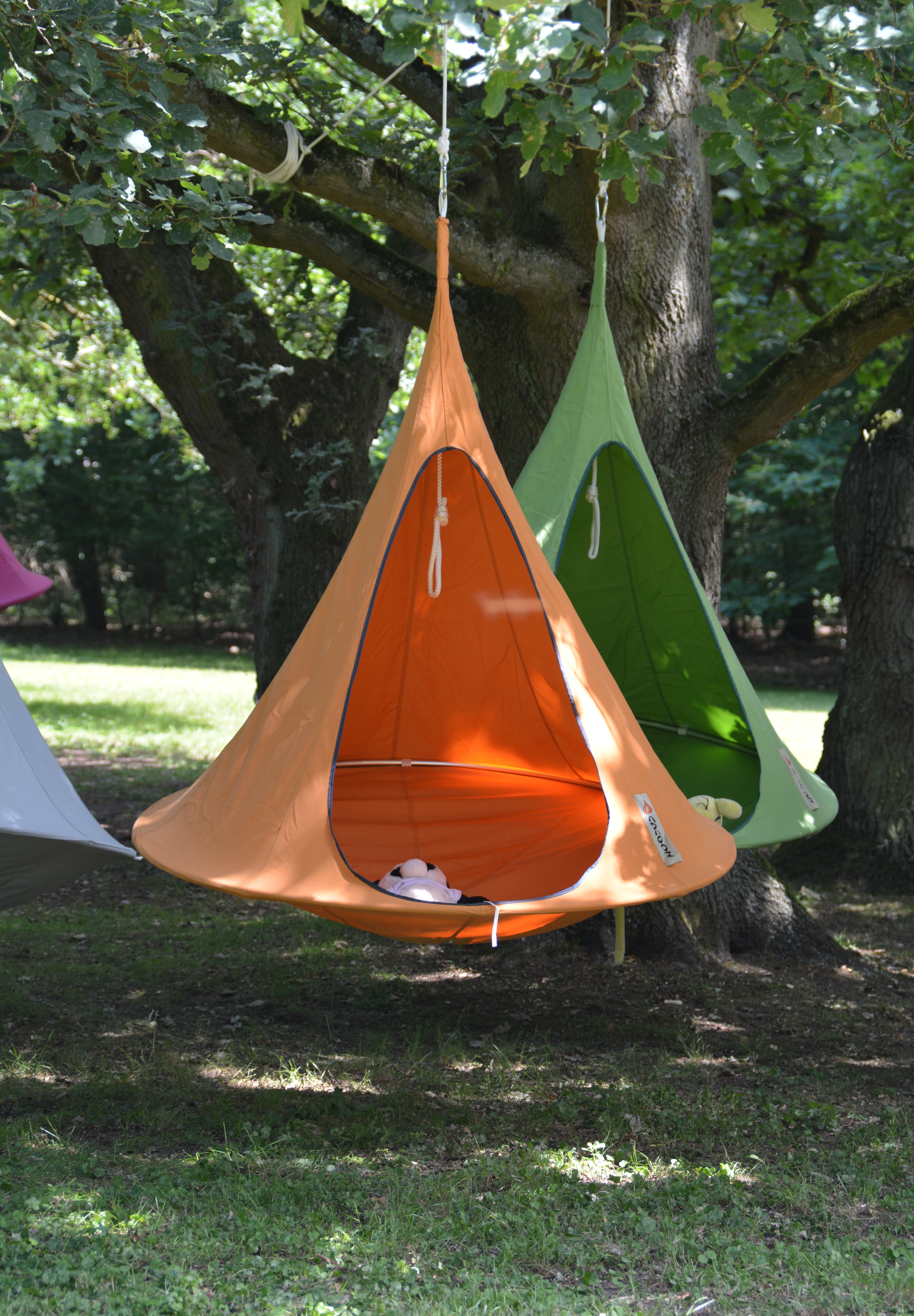 Single Cacoon - Mango