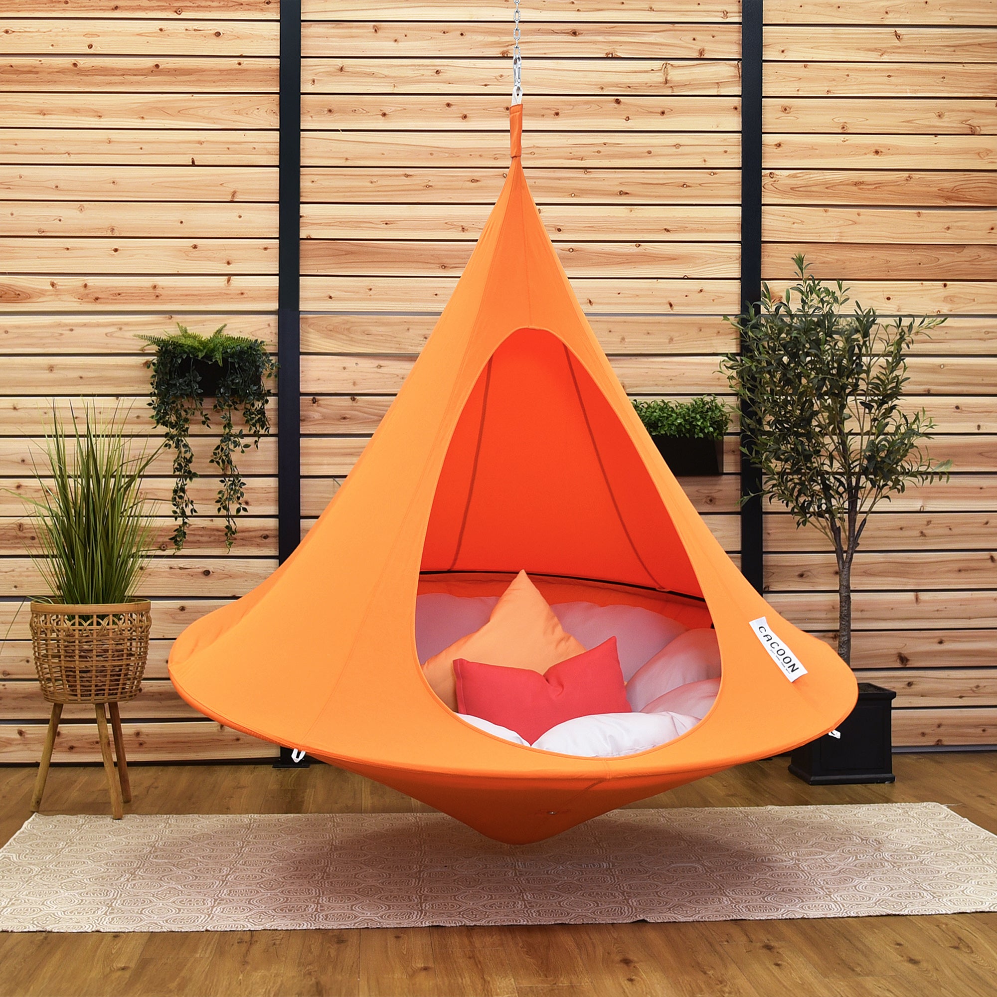 Double Cacoon - Nectarine